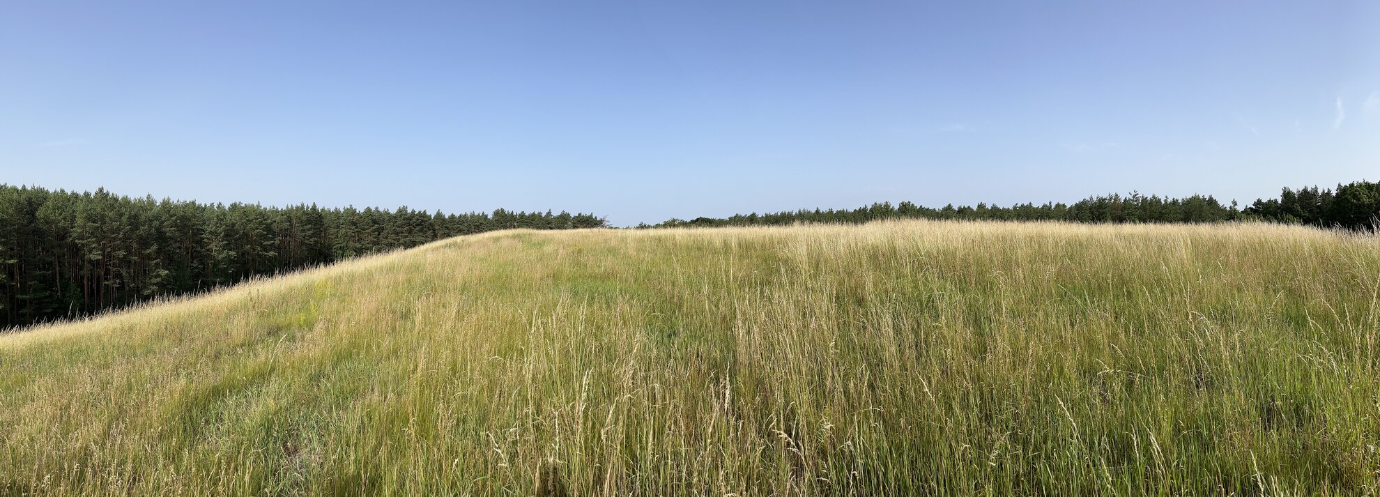 Panorama Deponie Niesky