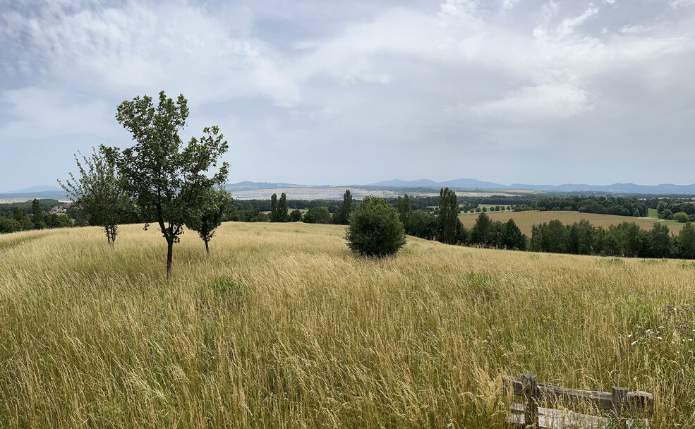 Bild der Deponie Radgendorf