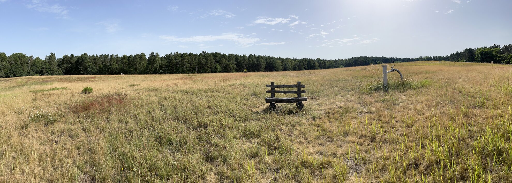 Weitläufige Wiesenlandschaft.  Im Vordergrund ist eine kleine Bank sichtbar